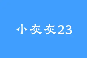 小灰灰23
