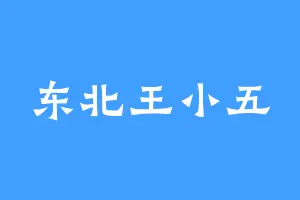 东北王小五