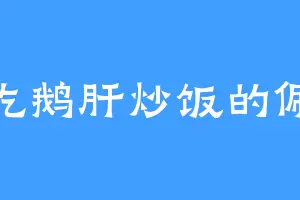 爱吃鹅肝炒饭的佩恩
