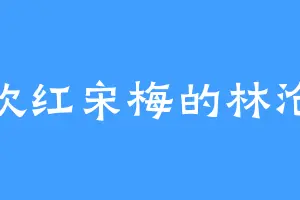 喜欢红宋梅的林沧海