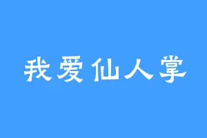 我爱仙人掌