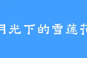 月光下的雪莲花