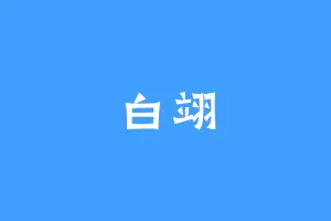 白翊