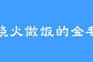 烧火做饭的金毛