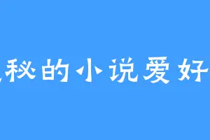 隐秘的小说爱好者