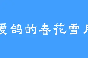 爱鸽的春花雪月