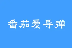 番茄爱导弹