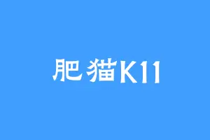 肥猫K11