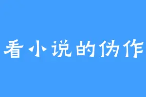 爱看小说的伪作家