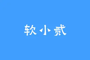 软小贰
