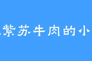 爱吃紫苏牛肉的小胖子