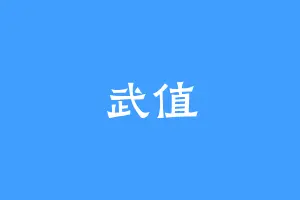 武值