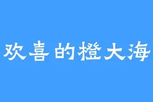 欢喜的橙大海
