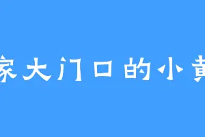 苏家大门口的小黄毛