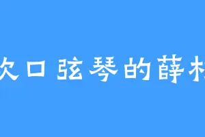 喜欢口弦琴的薛杉杉