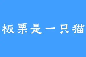 板栗是一只猫