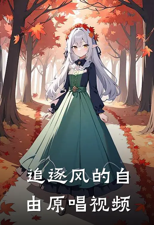 追逐风的自由原唱视频