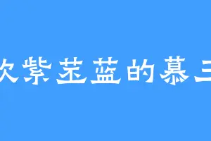 喜欢紫苤蓝的慕三爷