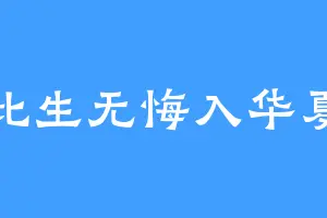 此生无悔入华夏
