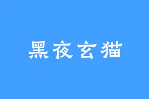 黑夜玄猫