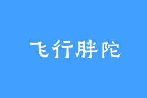 飞行胖陀