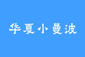 华夏小曼波