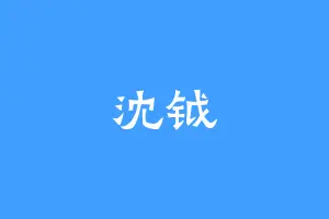沈钺