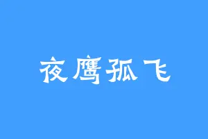 夜鹰孤飞