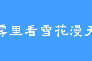 雾里看雪花漫天