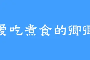 爱吃煮食的卿卿