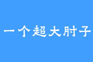 一个超大肘子