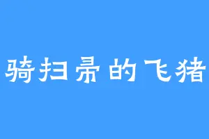 骑扫帚的飞猪