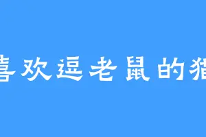 喜欢逗老鼠的猫