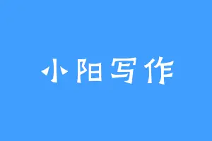 小阳写作