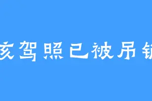 该驾照已被吊销