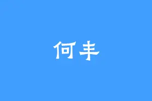 何丰