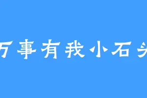 万事有我小石头