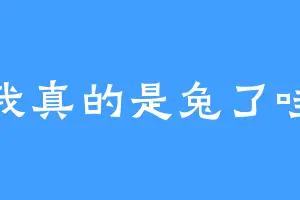 我真的是兔了哇