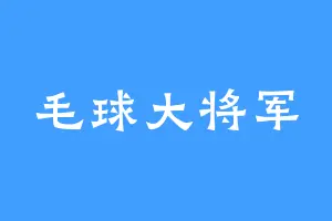 毛球大将军
