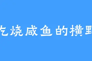 爱吃烧咸鱼的横野军