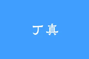 丁真