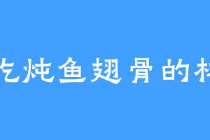 爱吃炖鱼翅骨的林鸦
