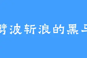 劈波斩浪的黑马