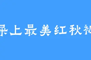 屎上最美红秋裤