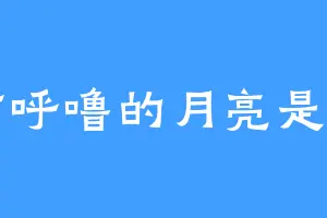 会打呼噜的月亮是好月