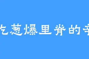 爱吃葱爆里脊的辛亨