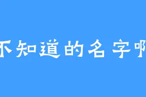 不知道的名字啊