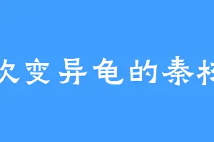 喜欢变异龟的秦栋梁