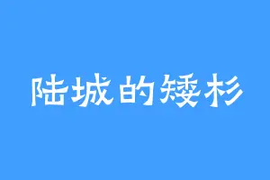 陆城的矮杉