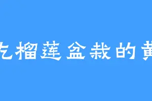 爱吃榴莲盆栽的黄袍